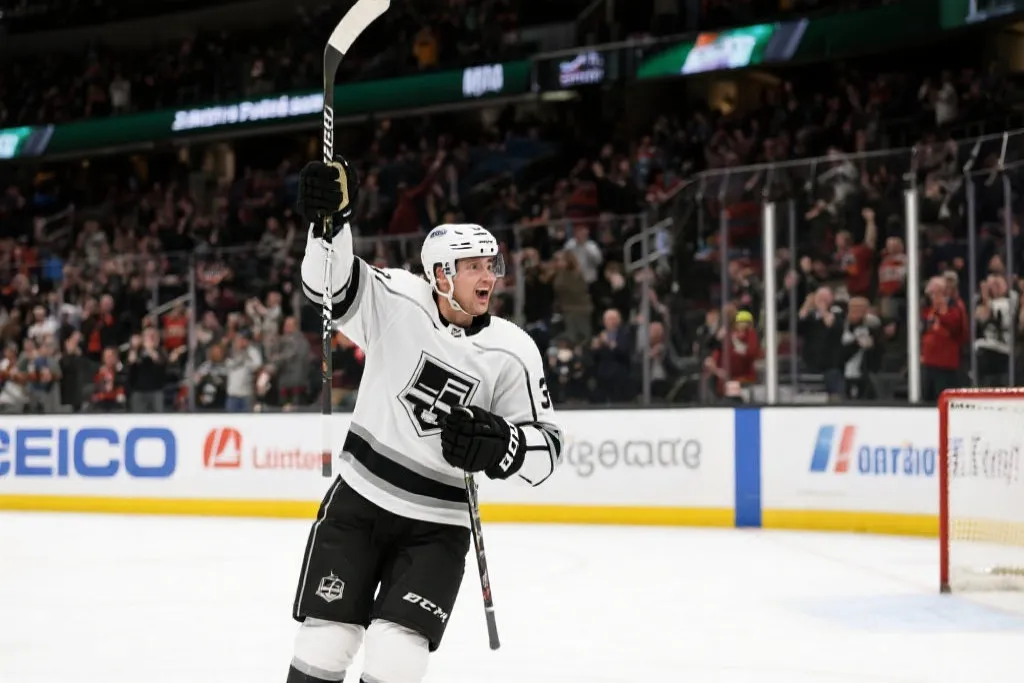 佛罗里达黑豹队：NHL斯坦利杯上的狂热之火